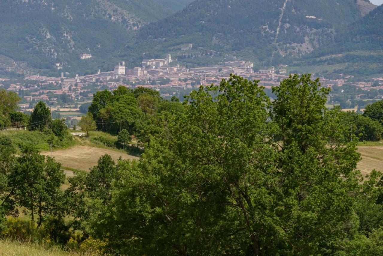 Casa Vacanze San Vittorino Gubbio Dış mekan fotoğraf